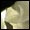 �s�G���l�`