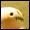 �p�y�b�g